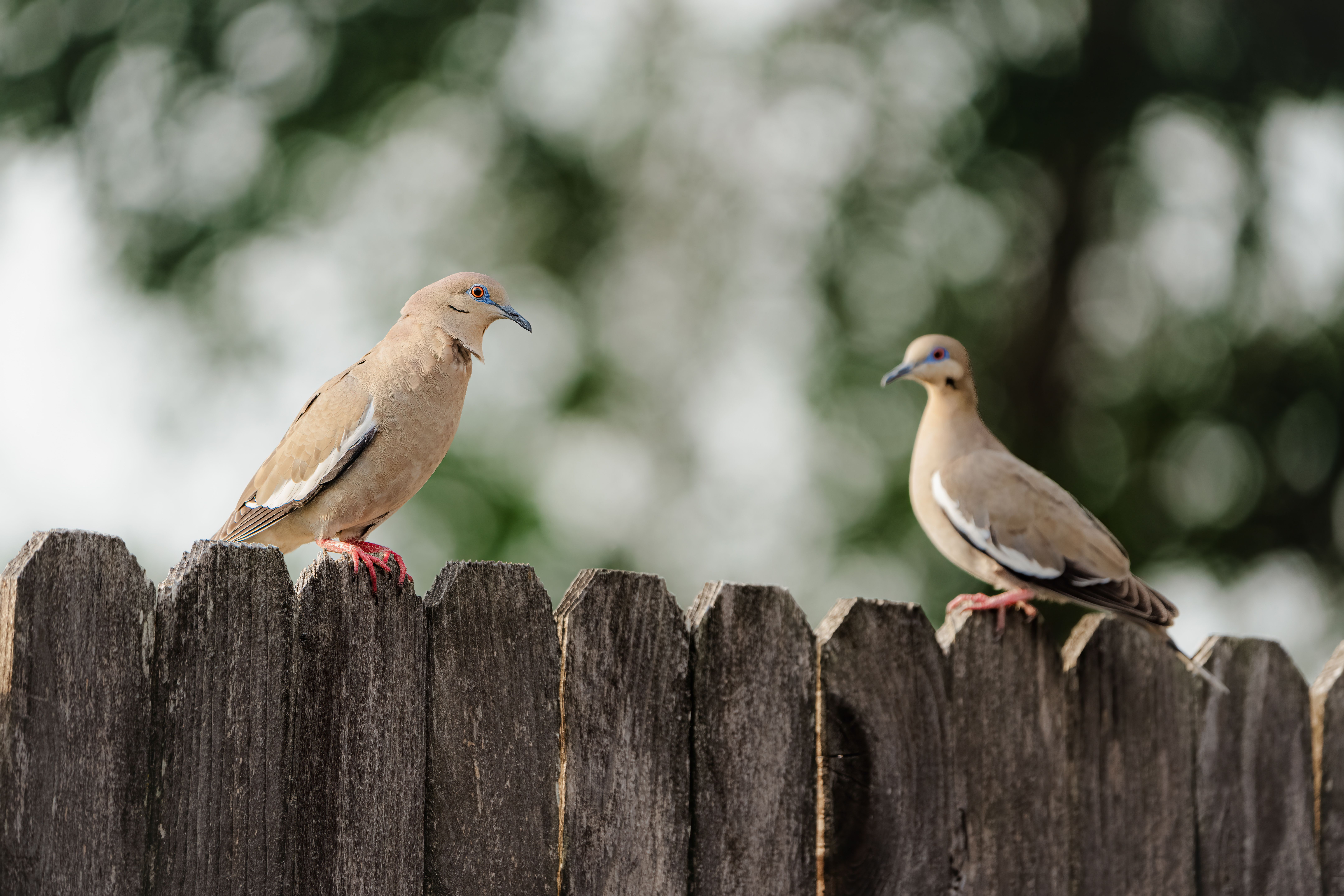 Conflict en mediation: wat ligt er echt onder het conflict?